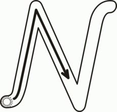 VAS-N-gr.tif